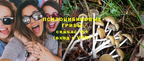 эйфоретик Протвино