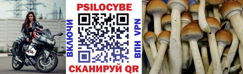 Галлюциногенные грибы MAGIC MUSHROOMS  Чапаевск 