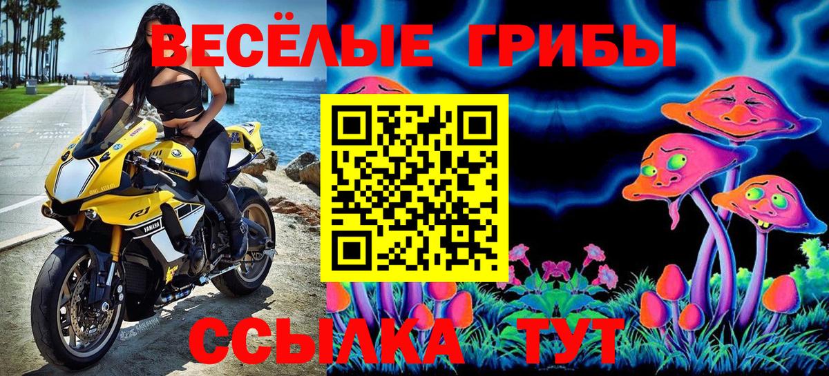 Галлюциногенные грибы мухоморы  наркота  Чапаевск  Псилоцибиновые грибы ЛСД 