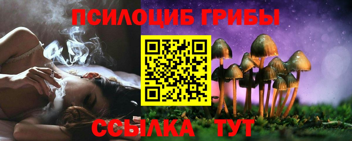 Галлюциногенные грибы Psilocybe  Вход с VPN  Чапаевск  Псилоцибиновые грибы Cubensis 